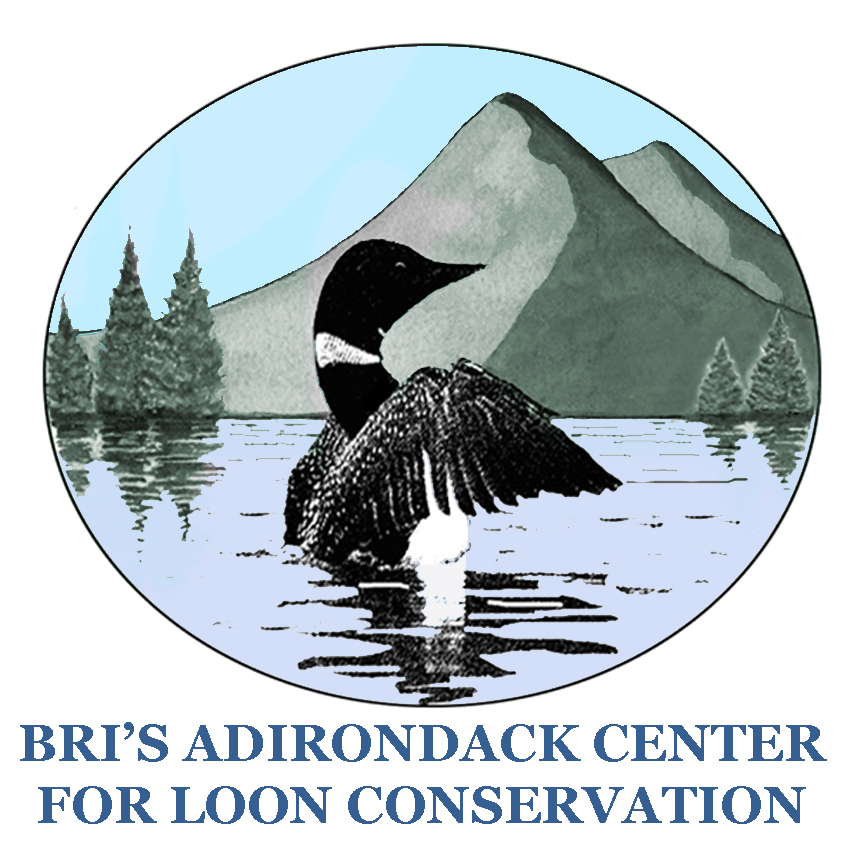 BRI-ACLC Logo color NY – Fish Lead Free